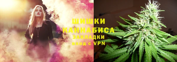 PSILOCYBIN Алексеевка
