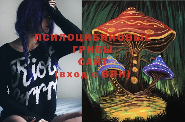 PSILOCYBIN Алексеевка