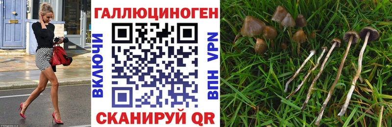 Псилоцибиновые грибы мухоморы  Ермолино 
